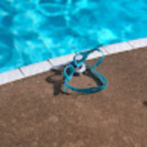 Meet your Posher, Ava